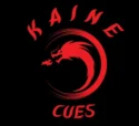 kiane cues shop provides the best cues you can ever playe with